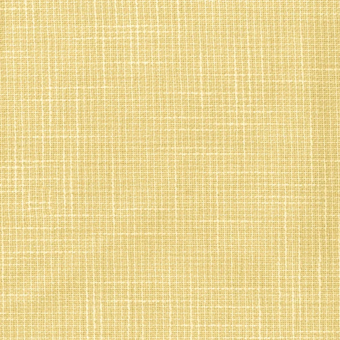 Daffodil