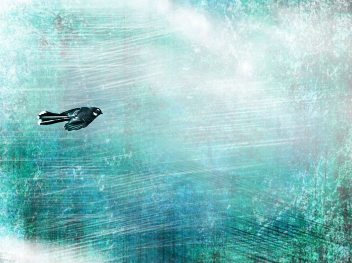 Flight of the Tui - Custom Sized Wallpaper Mural (per m2)