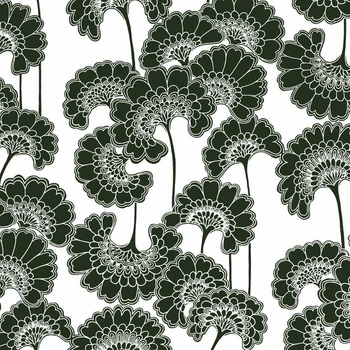 Liquorice Arizona Basecloth
