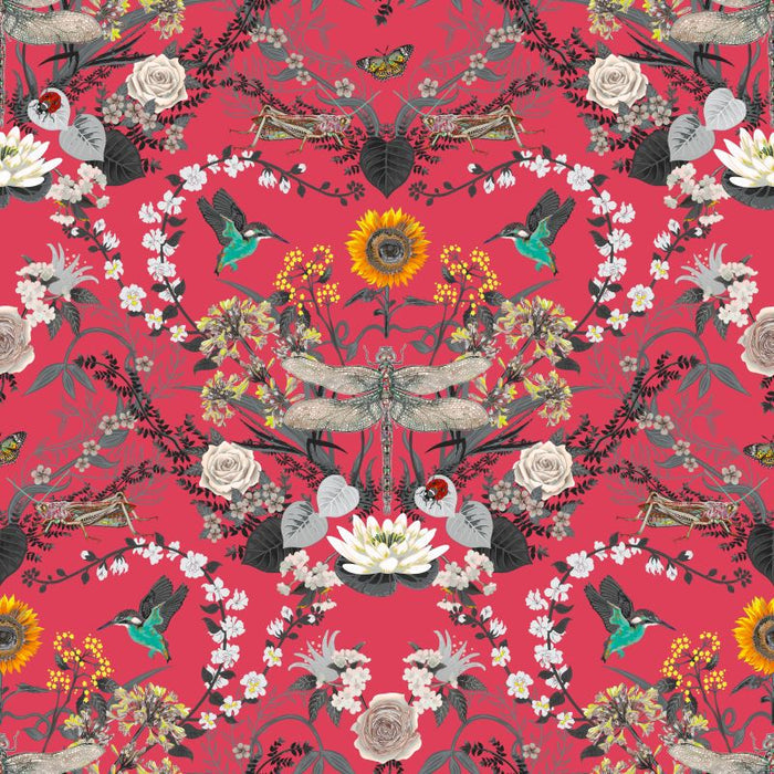 Dragon Fly Velvet - Candy