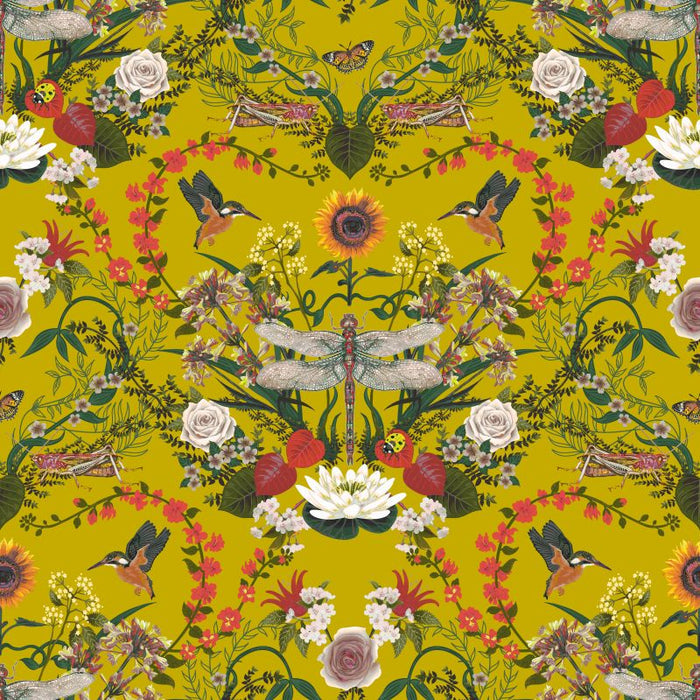 Dragon Fly Velvet - Citrus
