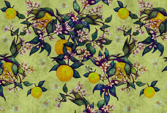 Grapefruit Mural - Green/Yellow - Custom Sized Wallpaper Mural (per m2)