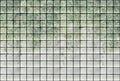 Green House Leaves & Glass Blocks - Custom Sized Wallpaper Mural (per m2)