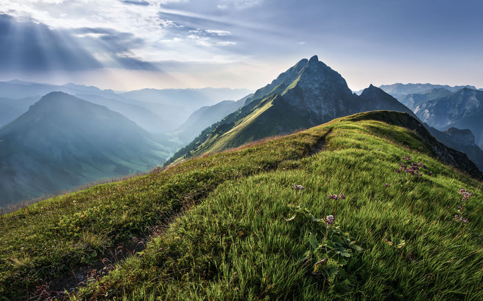 Green Mountains - Custom Sized Wallpaper Mural (per m2)
