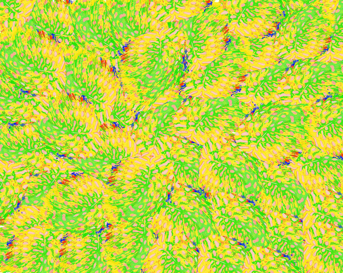 Pea Hen Feather Wallpaper - Green Yellow
