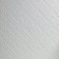 Hamnett/Floral Wallpaper - Anaglypta - Paintable
