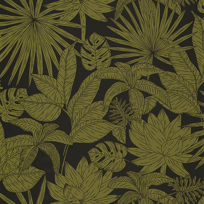 Hawai Wallpaper - Khaki - Discontinuing