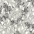 Hiding Zebra Wallpaper - Blanc Noir