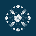 Huhu Mandala - NZ Wallpaper