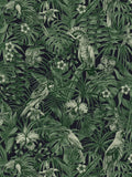 Jungle Parrots Textured Vinyl Wallpaper - Green/Black - Last  Roll