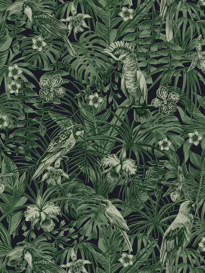 Jungle Parrots Textured Vinyl Wallpaper - Green/Black - Last  Roll