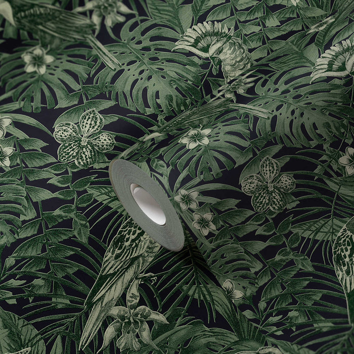 Jungle Parrots Textured Vinyl Wallpaper - Green/Black - Last  Roll