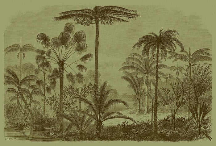 Jurassic - Custom Sized Wallpaper Mural (per m2) - Brown/Green