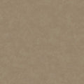 Taupe kanso soft plaster wallpaper with a soft, mottled plaster-effect wash — flat pattern detail