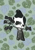 Kereru -Wood Pigeon - Fine Art Print