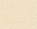 Versace Leopard Wallpaper - Cream - Discontinuing