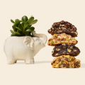 Levain x UrbanStems Desk Plant Gift Set