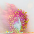 Firework Print
