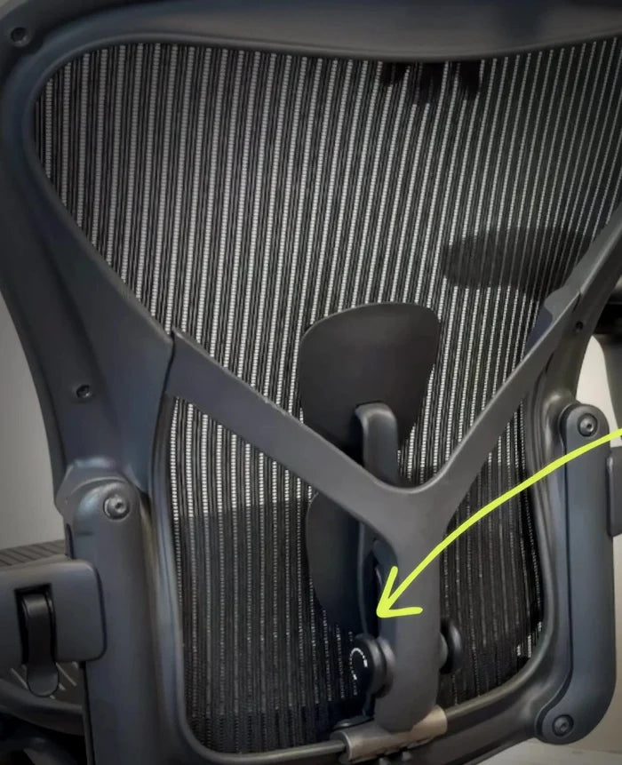 Herman Miller Aeron Classic chair back with PostureFit SL kit and OLS adapter installed