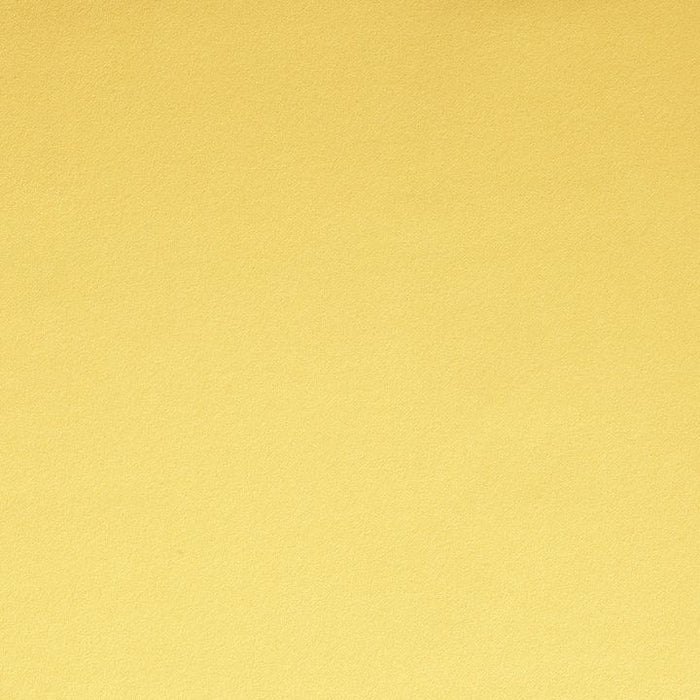 Daffodil