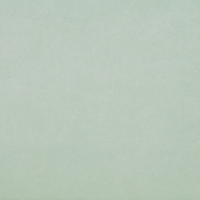 Eucalypt