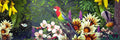 NZ themed Mural Wallpaper - Manu