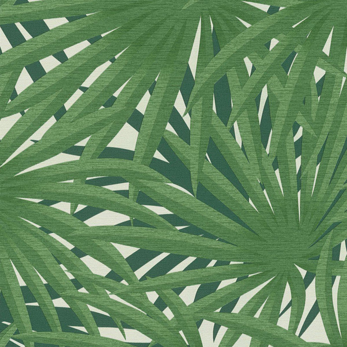 Marrakech Palms Wallpaper - Green - Discontinuing