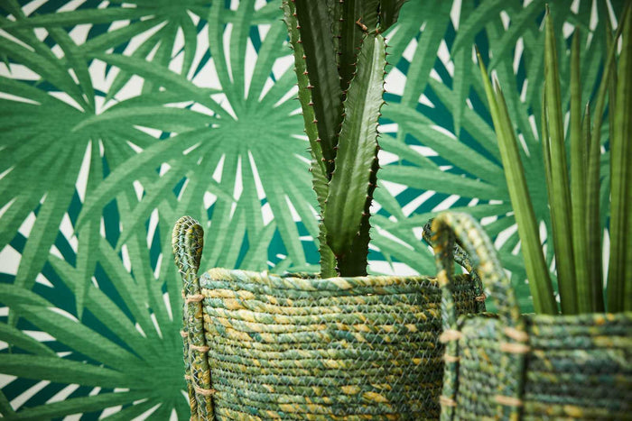 Marrakech Palms Wallpaper - Green - Discontinuing