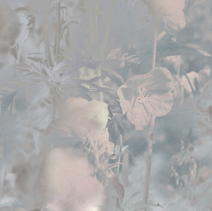 Meadow Geranium - Custom Sized Wallpaper Mural (per m2)