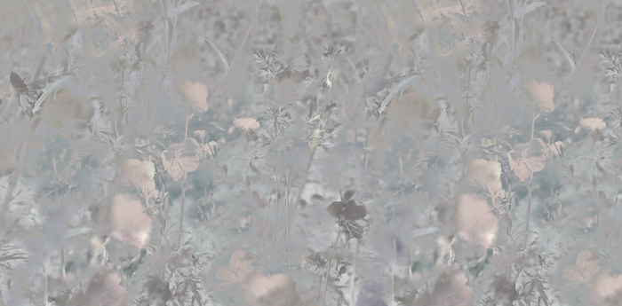 Meadow Geranium - Custom Sized Wallpaper Mural (per m2)