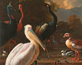 Menagerie Pelican - Custom Sized Wallpaper Mural (per m2)