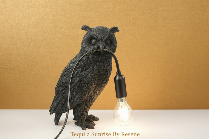 Owl Lamp - Tequila Sunrise By Resene with text