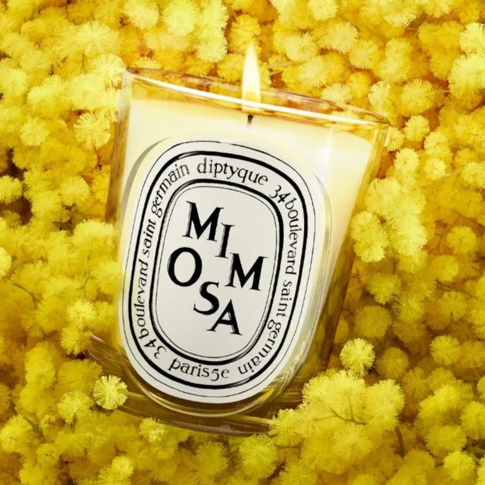 Shop Rescue Spa Diptyque Mimosa candle in a glass vessel, surrounded by vibrant yellow mimosa flowers.