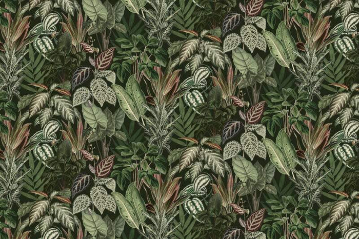 Mischievous Monkeys - Custom Sized Wallpaper Mural (per m2)