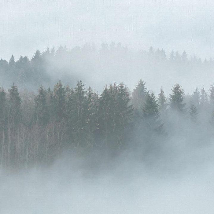 Misty Forest Mural