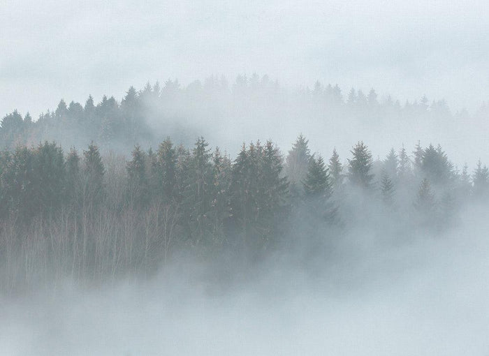 Misty Forest Mural full pattern