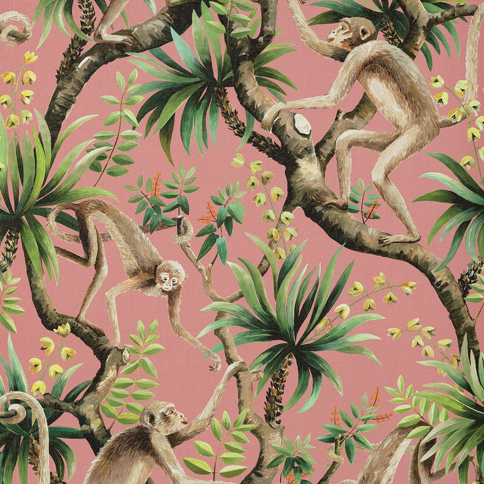 Monkey Business Wallpaper - Coral