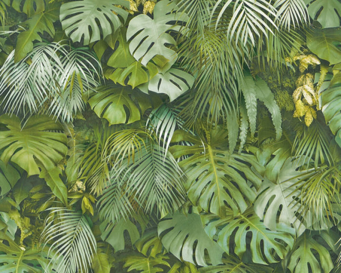 Monstera Jungle Wallpaper - Green - Non Woven