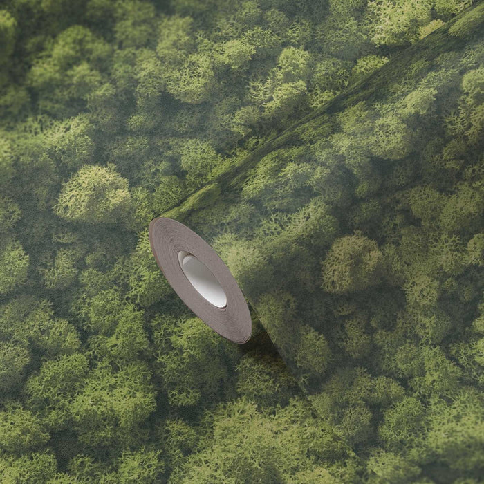 Moss wallpaper