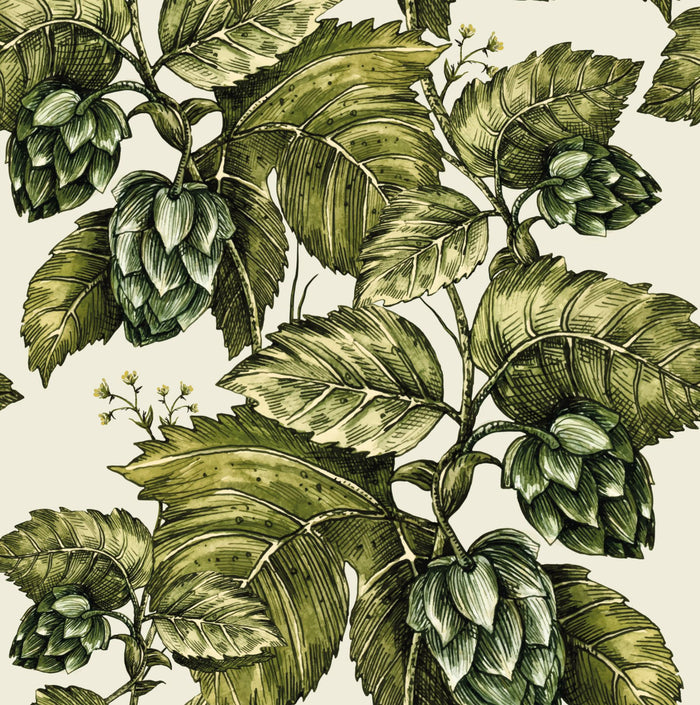 Motueka Hops - Custom Sized Wallpaper Mural (per m2)