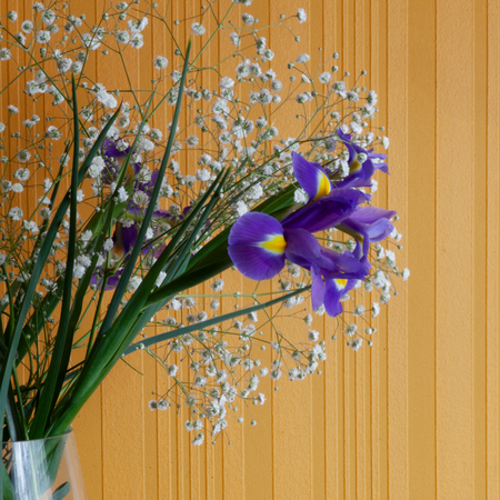 Notting Hill Wallpaper - Anaglypta - Paintable