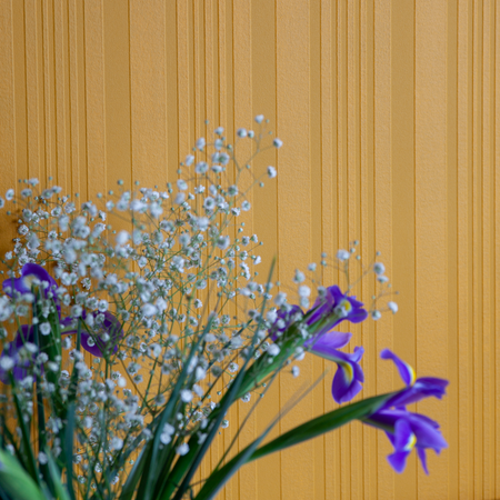 Notting Hill Wallpaper - Anaglypta - Paintable