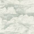 Nuage heavy Weight Textured Vinyl Wallpaper - Green/White - Last 3 Rolls