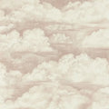 Nuage Wallpaper - Nude