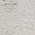 Brick White Wall Mural