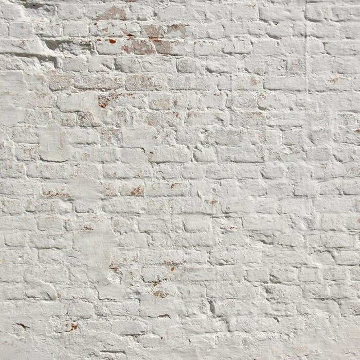 Brick White Wall Mural