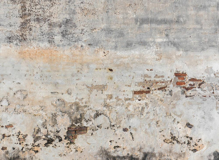 Old Wall Mural Full Pattern