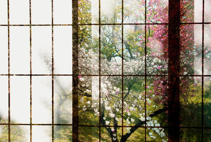 Orchard Window - Custom Sized Wallpaper Mural (per m2) - Orchard 1