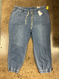 Pants Joggers By Lane Bryant In Blue Denim, Size:22