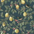 Ponderosa teal wallpaper with lemons, red berries and perched orange-breasted birds